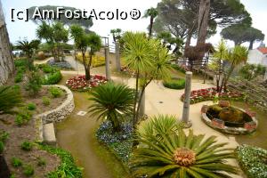 [P12] Vila Rufollo » foto by alinna
 - 
<span class="allrVoted glyphicon glyphicon-heart hidden" id="av844151"></span>
<a class="m-l-10 hidden" id="sv844151" onclick="voting_Foto_DelVot(,844151,17505)" role="button">șterge vot <span class="glyphicon glyphicon-remove"></span></a>
<a id="v9844151" class=" c-red"  onclick="voting_Foto_SetVot(844151)" role="button"><span class="glyphicon glyphicon-heart-empty"></span> <b>LIKE</b> = Votează poza</a> <img class="hidden"  id="f844151W9" src="/imagini/loader.gif" border="0" /><span class="AjErrMes hidden" id="e844151ErM"></span>