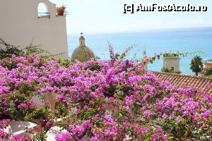 [P11] Cupolă colorată a bisericii dell Asunta printre flori de bougainvillea.  » foto by gettutza
 - 
<span class="allrVoted glyphicon glyphicon-heart hidden" id="av496016"></span>
<a class="m-l-10 hidden" id="sv496016" onclick="voting_Foto_DelVot(,496016,17505)" role="button">șterge vot <span class="glyphicon glyphicon-remove"></span></a>
<a id="v9496016" class=" c-red"  onclick="voting_Foto_SetVot(496016)" role="button"><span class="glyphicon glyphicon-heart-empty"></span> <b>LIKE</b> = Votează poza</a> <img class="hidden"  id="f496016W9" src="/imagini/loader.gif" border="0" /><span class="AjErrMes hidden" id="e496016ErM"></span>