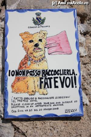[P28] Foarte simpatic și inedit anunț.  » foto by gettutza
 - 
<span class="allrVoted glyphicon glyphicon-heart hidden" id="av496033"></span>
<a class="m-l-10 hidden" id="sv496033" onclick="voting_Foto_DelVot(,496033,17505)" role="button">șterge vot <span class="glyphicon glyphicon-remove"></span></a>
<a id="v9496033" class=" c-red"  onclick="voting_Foto_SetVot(496033)" role="button"><span class="glyphicon glyphicon-heart-empty"></span> <b>LIKE</b> = Votează poza</a> <img class="hidden"  id="f496033W9" src="/imagini/loader.gif" border="0" /><span class="AjErrMes hidden" id="e496033ErM"></span>