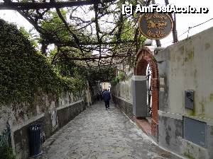 [P29] O alta straduta din Positano » foto by BOGDAN DSN
 - 
<span class="allrVoted glyphicon glyphicon-heart hidden" id="av505175"></span>
<a class="m-l-10 hidden" id="sv505175" onclick="voting_Foto_DelVot(,505175,17505)" role="button">șterge vot <span class="glyphicon glyphicon-remove"></span></a>
<a id="v9505175" class=" c-red"  onclick="voting_Foto_SetVot(505175)" role="button"><span class="glyphicon glyphicon-heart-empty"></span> <b>LIKE</b> = Votează poza</a> <img class="hidden"  id="f505175W9" src="/imagini/loader.gif" border="0" /><span class="AjErrMes hidden" id="e505175ErM"></span>