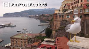 [P45] Portul turistic, Marina Piccola din Sorrento.  » foto by Aurici
 - 
<span class="allrVoted glyphicon glyphicon-heart hidden" id="av852079"></span>
<a class="m-l-10 hidden" id="sv852079" onclick="voting_Foto_DelVot(,852079,17505)" role="button">șterge vot <span class="glyphicon glyphicon-remove"></span></a>
<a id="v9852079" class=" c-red"  onclick="voting_Foto_SetVot(852079)" role="button"><span class="glyphicon glyphicon-heart-empty"></span> <b>LIKE</b> = Votează poza</a> <img class="hidden"  id="f852079W9" src="/imagini/loader.gif" border="0" /><span class="AjErrMes hidden" id="e852079ErM"></span>