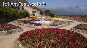 [P41] Superbe flori.  » foto by Aurici
 - 
<span class="allrVoted glyphicon glyphicon-heart hidden" id="av852997"></span>
<a class="m-l-10 hidden" id="sv852997" onclick="voting_Foto_DelVot(,852997,17505)" role="button">șterge vot <span class="glyphicon glyphicon-remove"></span></a>
<a id="v9852997" class=" c-red"  onclick="voting_Foto_SetVot(852997)" role="button"><span class="glyphicon glyphicon-heart-empty"></span> <b>LIKE</b> = Votează poza</a> <img class="hidden"  id="f852997W9" src="/imagini/loader.gif" border="0" /><span class="AjErrMes hidden" id="e852997ErM"></span>