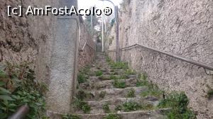 [P48] Pe poteca pe jos din Ravelo spre Amalfi.  » foto by Aurici
 - 
<span class="allrVoted glyphicon glyphicon-heart hidden" id="av853004"></span>
<a class="m-l-10 hidden" id="sv853004" onclick="voting_Foto_DelVot(,853004,17505)" role="button">șterge vot <span class="glyphicon glyphicon-remove"></span></a>
<a id="v9853004" class=" c-red"  onclick="voting_Foto_SetVot(853004)" role="button"><span class="glyphicon glyphicon-heart-empty"></span> <b>LIKE</b> = Votează poza</a> <img class="hidden"  id="f853004W9" src="/imagini/loader.gif" border="0" /><span class="AjErrMes hidden" id="e853004ErM"></span>