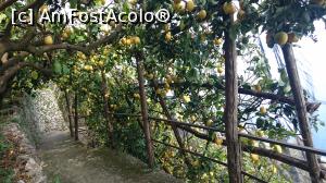 [P50] Livezi de lamai pe poteca pe care am coborat pe jos de la Ravelo.  » foto by Aurici
 - 
<span class="allrVoted glyphicon glyphicon-heart hidden" id="av853006"></span>
<a class="m-l-10 hidden" id="sv853006" onclick="voting_Foto_DelVot(,853006,17505)" role="button">șterge vot <span class="glyphicon glyphicon-remove"></span></a>
<a id="v9853006" class=" c-red"  onclick="voting_Foto_SetVot(853006)" role="button"><span class="glyphicon glyphicon-heart-empty"></span> <b>LIKE</b> = Votează poza</a> <img class="hidden"  id="f853006W9" src="/imagini/loader.gif" border="0" /><span class="AjErrMes hidden" id="e853006ErM"></span>