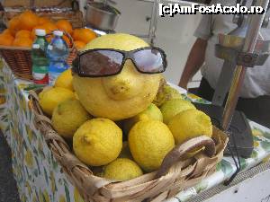 [P14] Lamai uriase, soi unic'sfusato amalfitano'. Din coaja lor se fabrica celebrul lichior 'limoncello' » foto by bica adriana
 - 
<span class="allrVoted glyphicon glyphicon-heart hidden" id="av695221"></span>
<a class="m-l-10 hidden" id="sv695221" onclick="voting_Foto_DelVot(,695221,17505)" role="button">șterge vot <span class="glyphicon glyphicon-remove"></span></a>
<a id="v9695221" class=" c-red"  onclick="voting_Foto_SetVot(695221)" role="button"><span class="glyphicon glyphicon-heart-empty"></span> <b>LIKE</b> = Votează poza</a> <img class="hidden"  id="f695221W9" src="/imagini/loader.gif" border="0" /><span class="AjErrMes hidden" id="e695221ErM"></span>