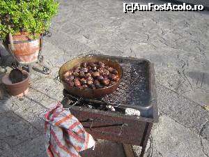 [P88] Gustoasele castane pufoase.  » foto by bica adriana
 - 
<span class="allrVoted glyphicon glyphicon-heart hidden" id="av695353"></span>
<a class="m-l-10 hidden" id="sv695353" onclick="voting_Foto_DelVot(,695353,17505)" role="button">șterge vot <span class="glyphicon glyphicon-remove"></span></a>
<a id="v9695353" class=" c-red"  onclick="voting_Foto_SetVot(695353)" role="button"><span class="glyphicon glyphicon-heart-empty"></span> <b>LIKE</b> = Votează poza</a> <img class="hidden"  id="f695353W9" src="/imagini/loader.gif" border="0" /><span class="AjErrMes hidden" id="e695353ErM"></span>