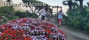 [P03] Ravello, vila Rufolo » foto by roxi-nico
 - 
<span class="allrVoted glyphicon glyphicon-heart hidden" id="av1380926"></span>
<a class="m-l-10 hidden" id="sv1380926" onclick="voting_Foto_DelVot(,1380926,17505)" role="button">șterge vot <span class="glyphicon glyphicon-remove"></span></a>
<a id="v91380926" class=" c-red"  onclick="voting_Foto_SetVot(1380926)" role="button"><span class="glyphicon glyphicon-heart-empty"></span> <b>LIKE</b> = Votează poza</a> <img class="hidden"  id="f1380926W9" src="/imagini/loader.gif" border="0" /><span class="AjErrMes hidden" id="e1380926ErM"></span>