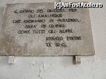 [P18] Acest text spune mult despre Amalfi. 
Ziua judecatii pentru Amalfitani v-a fi o zi precum celelalte » foto by claudiu 71
 - 
<span class="allrVoted glyphicon glyphicon-heart hidden" id="av485370"></span>
<a class="m-l-10 hidden" id="sv485370" onclick="voting_Foto_DelVot(,485370,17505)" role="button">șterge vot <span class="glyphicon glyphicon-remove"></span></a>
<a id="v9485370" class=" c-red"  onclick="voting_Foto_SetVot(485370)" role="button"><span class="glyphicon glyphicon-heart-empty"></span> <b>LIKE</b> = Votează poza</a> <img class="hidden"  id="f485370W9" src="/imagini/loader.gif" border="0" /><span class="AjErrMes hidden" id="e485370ErM"></span>