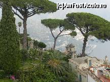 [P26] Gradinile Vilei Rufolo locul de fotografii simbolice care infatiseaza Costiera Amalfitana 350 metri deasupra marii. Jos se vede Maiori si Minori si o buna parte din Amalfi. Rog pozitia 1.  » foto by claudiu 71
 - 
<span class="allrVoted glyphicon glyphicon-heart hidden" id="av485378"></span>
<a class="m-l-10 hidden" id="sv485378" onclick="voting_Foto_DelVot(,485378,17505)" role="button">șterge vot <span class="glyphicon glyphicon-remove"></span></a>
<a id="v9485378" class=" c-red"  onclick="voting_Foto_SetVot(485378)" role="button"><span class="glyphicon glyphicon-heart-empty"></span> <b>LIKE</b> = Votează poza</a> <img class="hidden"  id="f485378W9" src="/imagini/loader.gif" border="0" /><span class="AjErrMes hidden" id="e485378ErM"></span>