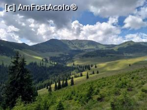 [P02] Imediat Poiana Știol ne arată Gărăgălăul! » foto by Radix7
 - 
<span class="allrVoted glyphicon glyphicon-heart hidden" id="av1174354"></span>
<a class="m-l-10 hidden" id="sv1174354" onclick="voting_Foto_DelVot(,1174354,17545)" role="button">șterge vot <span class="glyphicon glyphicon-remove"></span></a>
<a id="v91174354" class=" c-red"  onclick="voting_Foto_SetVot(1174354)" role="button"><span class="glyphicon glyphicon-heart-empty"></span> <b>LIKE</b> = Votează poza</a> <img class="hidden"  id="f1174354W9" src="/imagini/loader.gif" border="0" /><span class="AjErrMes hidden" id="e1174354ErM"></span>