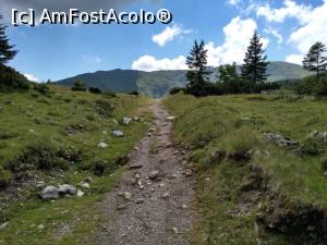 [P04] Traseul nu este chiar așa de greu. » foto by Radix7
 - 
<span class="allrVoted glyphicon glyphicon-heart hidden" id="av1174356"></span>
<a class="m-l-10 hidden" id="sv1174356" onclick="voting_Foto_DelVot(,1174356,17545)" role="button">șterge vot <span class="glyphicon glyphicon-remove"></span></a>
<a id="v91174356" class=" c-red"  onclick="voting_Foto_SetVot(1174356)" role="button"><span class="glyphicon glyphicon-heart-empty"></span> <b>LIKE</b> = Votează poza</a> <img class="hidden"  id="f1174356W9" src="/imagini/loader.gif" border="0" /><span class="AjErrMes hidden" id="e1174356ErM"></span>