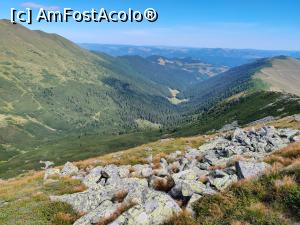 [P18] spre Vârful Ineuț(2.222m), Munții Rodnei » foto by Dana2008
 - 
<span class="allrVoted glyphicon glyphicon-heart hidden" id="av1192838"></span>
<a class="m-l-10 hidden" id="sv1192838" onclick="voting_Foto_DelVot(,1192838,17545)" role="button">șterge vot <span class="glyphicon glyphicon-remove"></span></a>
<a id="v91192838" class=" c-red"  onclick="voting_Foto_SetVot(1192838)" role="button"><span class="glyphicon glyphicon-heart-empty"></span> <b>LIKE</b> = Votează poza</a> <img class="hidden"  id="f1192838W9" src="/imagini/loader.gif" border="0" /><span class="AjErrMes hidden" id="e1192838ErM"></span>