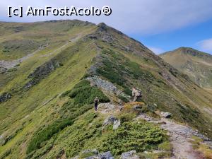 [P19] spre Vârful Ineuț(2.222m), Munții Rodnei » foto by Dana2008
 - 
<span class="allrVoted glyphicon glyphicon-heart hidden" id="av1192839"></span>
<a class="m-l-10 hidden" id="sv1192839" onclick="voting_Foto_DelVot(,1192839,17545)" role="button">șterge vot <span class="glyphicon glyphicon-remove"></span></a>
<a id="v91192839" class=" c-red"  onclick="voting_Foto_SetVot(1192839)" role="button"><span class="glyphicon glyphicon-heart-empty"></span> <b>LIKE</b> = Votează poza</a> <img class="hidden"  id="f1192839W9" src="/imagini/loader.gif" border="0" /><span class="AjErrMes hidden" id="e1192839ErM"></span>