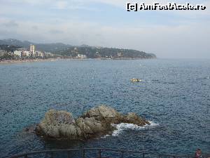 [P04] Mergand pe jos prin Lloret de Mar am surprins imagini spectaculoase.  » foto by RelyaV
 - 
<span class="allrVoted glyphicon glyphicon-heart hidden" id="av564866"></span>
<a class="m-l-10 hidden" id="sv564866" onclick="voting_Foto_DelVot(,564866,17572)" role="button">șterge vot <span class="glyphicon glyphicon-remove"></span></a>
<a id="v9564866" class=" c-red"  onclick="voting_Foto_SetVot(564866)" role="button"><span class="glyphicon glyphicon-heart-empty"></span> <b>LIKE</b> = Votează poza</a> <img class="hidden"  id="f564866W9" src="/imagini/loader.gif" border="0" /><span class="AjErrMes hidden" id="e564866ErM"></span>
