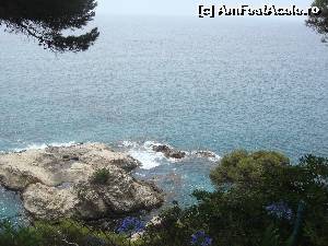[P05] Gradina Botanica Lloret de Mar, aici am vazut peisaje minunate.  » foto by RelyaV
 - 
<span class="allrVoted glyphicon glyphicon-heart hidden" id="av564867"></span>
<a class="m-l-10 hidden" id="sv564867" onclick="voting_Foto_DelVot(,564867,17572)" role="button">șterge vot <span class="glyphicon glyphicon-remove"></span></a>
<a id="v9564867" class=" c-red"  onclick="voting_Foto_SetVot(564867)" role="button"><span class="glyphicon glyphicon-heart-empty"></span> <b>LIKE</b> = Votează poza</a> <img class="hidden"  id="f564867W9" src="/imagini/loader.gif" border="0" /><span class="AjErrMes hidden" id="e564867ErM"></span>