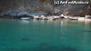 [P12] una din plajele salbatice » foto by adutza_ghiocel
 - 
<span class="allrVoted glyphicon glyphicon-heart hidden" id="av636829"></span>
<a class="m-l-10 hidden" id="sv636829" onclick="voting_Foto_DelVot(,636829,17583)" role="button">șterge vot <span class="glyphicon glyphicon-remove"></span></a>
<a id="v9636829" class=" c-red"  onclick="voting_Foto_SetVot(636829)" role="button"><span class="glyphicon glyphicon-heart-empty"></span> <b>LIKE</b> = Votează poza</a> <img class="hidden"  id="f636829W9" src="/imagini/loader.gif" border="0" /><span class="AjErrMes hidden" id="e636829ErM"></span>