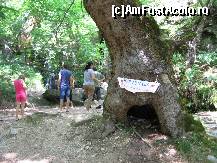 [P56] la cascada » foto by Nino
 - 
<span class="allrVoted glyphicon glyphicon-heart hidden" id="av329955"></span>
<a class="m-l-10 hidden" id="sv329955" onclick="voting_Foto_DelVot(,329955,17583)" role="button">șterge vot <span class="glyphicon glyphicon-remove"></span></a>
<a id="v9329955" class=" c-red"  onclick="voting_Foto_SetVot(329955)" role="button"><span class="glyphicon glyphicon-heart-empty"></span> <b>LIKE</b> = Votează poza</a> <img class="hidden"  id="f329955W9" src="/imagini/loader.gif" border="0" /><span class="AjErrMes hidden" id="e329955ErM"></span>