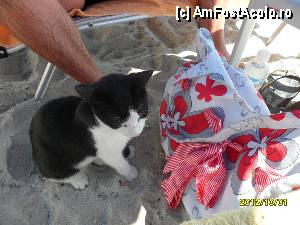 [P24]  -- <small>// FĂRĂ DESCRIERE</small> » foto by flori_floricika
 - 
<span class="allrVoted glyphicon glyphicon-heart hidden" id="av377350"></span>
<a class="m-l-10 hidden" id="sv377350" onclick="voting_Foto_DelVot(,377350,17592)" role="button">șterge vot <span class="glyphicon glyphicon-remove"></span></a>
<a id="v9377350" class=" c-red"  onclick="voting_Foto_SetVot(377350)" role="button"><span class="glyphicon glyphicon-heart-empty"></span> <b>LIKE</b> = Votează poza</a> <img class="hidden"  id="f377350W9" src="/imagini/loader.gif" border="0" /><span class="AjErrMes hidden" id="e377350ErM"></span>
