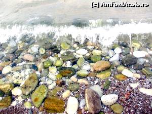 [P39] Asa arata plaja spre Skala Potamia, cu ceva mai multe pietre in apa...  » foto by cristisch2003
 - 
<span class="allrVoted glyphicon glyphicon-heart hidden" id="av542906"></span>
<a class="m-l-10 hidden" id="sv542906" onclick="voting_Foto_DelVot(,542906,17592)" role="button">șterge vot <span class="glyphicon glyphicon-remove"></span></a>
<a id="v9542906" class=" c-red"  onclick="voting_Foto_SetVot(542906)" role="button"><span class="glyphicon glyphicon-heart-empty"></span> <b>LIKE</b> = Votează poza</a> <img class="hidden"  id="f542906W9" src="/imagini/loader.gif" border="0" /><span class="AjErrMes hidden" id="e542906ErM"></span>