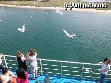 [P01] cu ferry-boatul spre Thassos » foto by sandu.53
 - 
<span class="allrVoted glyphicon glyphicon-heart hidden" id="av209526"></span>
<a class="m-l-10 hidden" id="sv209526" onclick="voting_Foto_DelVot(,209526,17592)" role="button">șterge vot <span class="glyphicon glyphicon-remove"></span></a>
<a id="v9209526" class=" c-red"  onclick="voting_Foto_SetVot(209526)" role="button"><span class="glyphicon glyphicon-heart-empty"></span> <b>LIKE</b> = Votează poza</a> <img class="hidden"  id="f209526W9" src="/imagini/loader.gif" border="0" /><span class="AjErrMes hidden" id="e209526ErM"></span>