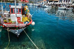[P52] Fiskardo, insula Kefalonia » foto by Muffin2009*
 - 
<span class="allrVoted glyphicon glyphicon-heart hidden" id="av440886"></span>
<a class="m-l-10 hidden" id="sv440886" onclick="voting_Foto_DelVot(,440886,17593)" role="button">șterge vot <span class="glyphicon glyphicon-remove"></span></a>
<a id="v9440886" class=" c-red"  onclick="voting_Foto_SetVot(440886)" role="button"><span class="glyphicon glyphicon-heart-empty"></span> <b>LIKE</b> = Votează poza</a> <img class="hidden"  id="f440886W9" src="/imagini/loader.gif" border="0" /><span class="AjErrMes hidden" id="e440886ErM"></span>