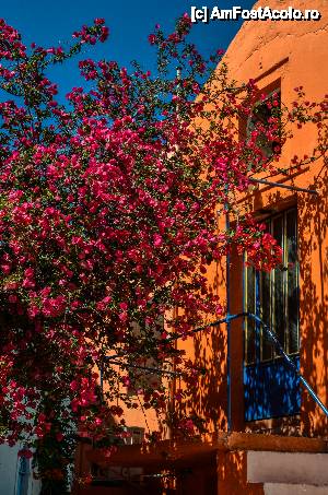 [P58] Casa viu colorata in Fiskardo, insula Kefalonia » foto by Muffin2009*
 - 
<span class="allrVoted glyphicon glyphicon-heart hidden" id="av440894"></span>
<a class="m-l-10 hidden" id="sv440894" onclick="voting_Foto_DelVot(,440894,17593)" role="button">șterge vot <span class="glyphicon glyphicon-remove"></span></a>
<a id="v9440894" class=" c-red"  onclick="voting_Foto_SetVot(440894)" role="button"><span class="glyphicon glyphicon-heart-empty"></span> <b>LIKE</b> = Votează poza</a> <img class="hidden"  id="f440894W9" src="/imagini/loader.gif" border="0" /><span class="AjErrMes hidden" id="e440894ErM"></span>