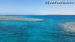 [P14] Snorkeling langa insula Tiran » foto by ionut-alex
 - 
<span class="allrVoted glyphicon glyphicon-heart hidden" id="av624314"></span>
<a class="m-l-10 hidden" id="sv624314" onclick="voting_Foto_DelVot(,624314,17600)" role="button">șterge vot <span class="glyphicon glyphicon-remove"></span></a>
<a id="v9624314" class=" c-red"  onclick="voting_Foto_SetVot(624314)" role="button"><span class="glyphicon glyphicon-heart-empty"></span> <b>LIKE</b> = Votează poza</a> <img class="hidden"  id="f624314W9" src="/imagini/loader.gif" border="0" /><span class="AjErrMes hidden" id="e624314ErM"></span>