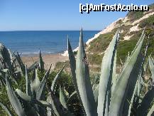 [P03] 'La pas prin Kalamaki' / Langa plaje veti intalni o plantatie de cactusi » foto by dorgo
 - 
<span class="allrVoted glyphicon glyphicon-heart hidden" id="av362080"></span>
<a class="m-l-10 hidden" id="sv362080" onclick="voting_Foto_DelVot(,362080,17605)" role="button">șterge vot <span class="glyphicon glyphicon-remove"></span></a>
<a id="v9362080" class=" c-red"  onclick="voting_Foto_SetVot(362080)" role="button"><span class="glyphicon glyphicon-heart-empty"></span> <b>LIKE</b> = Votează poza</a> <img class="hidden"  id="f362080W9" src="/imagini/loader.gif" border="0" /><span class="AjErrMes hidden" id="e362080ErM"></span>