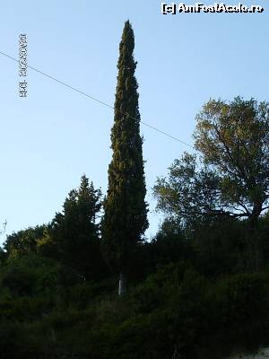 [P45] Despre curiozitati la plante » foto by FLOREA ADRIAN
 - 
<span class="allrVoted glyphicon glyphicon-heart hidden" id="av583889"></span>
<a class="m-l-10 hidden" id="sv583889" onclick="voting_Foto_DelVot(,583889,17638)" role="button">șterge vot <span class="glyphicon glyphicon-remove"></span></a>
<a id="v9583889" class=" c-red"  onclick="voting_Foto_SetVot(583889)" role="button"><span class="glyphicon glyphicon-heart-empty"></span> <b>LIKE</b> = Votează poza</a> <img class="hidden"  id="f583889W9" src="/imagini/loader.gif" border="0" /><span class="AjErrMes hidden" id="e583889ErM"></span>