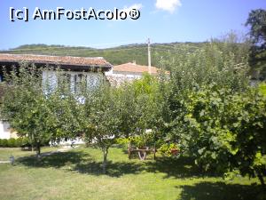 [P29] pomii fructiferi din curte » foto by ceasornicarul
 - 
<span class="allrVoted glyphicon glyphicon-heart hidden" id="av1095670"></span>
<a class="m-l-10 hidden" id="sv1095670" onclick="voting_Foto_DelVot(,1095670,17652)" role="button">șterge vot <span class="glyphicon glyphicon-remove"></span></a>
<a id="v91095670" class=" c-red"  onclick="voting_Foto_SetVot(1095670)" role="button"><span class="glyphicon glyphicon-heart-empty"></span> <b>LIKE</b> = Votează poza</a> <img class="hidden"  id="f1095670W9" src="/imagini/loader.gif" border="0" /><span class="AjErrMes hidden" id="e1095670ErM"></span>