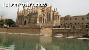 [P02] 1. O imagine clasică a Catedralei din Palma.  » foto by msnd
 - 
<span class="allrVoted glyphicon glyphicon-heart hidden" id="av779123"></span>
<a class="m-l-10 hidden" id="sv779123" onclick="voting_Foto_DelVot(,779123,17664)" role="button">șterge vot <span class="glyphicon glyphicon-remove"></span></a>
<a id="v9779123" class=" c-red"  onclick="voting_Foto_SetVot(779123)" role="button"><span class="glyphicon glyphicon-heart-empty"></span> <b>LIKE</b> = Votează poza</a> <img class="hidden"  id="f779123W9" src="/imagini/loader.gif" border="0" /><span class="AjErrMes hidden" id="e779123ErM"></span>