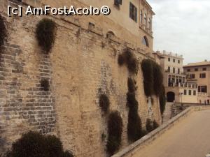 [P06] 5. Viața învinge în orice condiție. Peretele sudic al Palatului Episcopal.  » foto by msnd
 - 
<span class="allrVoted glyphicon glyphicon-heart hidden" id="av779127"></span>
<a class="m-l-10 hidden" id="sv779127" onclick="voting_Foto_DelVot(,779127,17664)" role="button">șterge vot <span class="glyphicon glyphicon-remove"></span></a>
<a id="v9779127" class=" c-red"  onclick="voting_Foto_SetVot(779127)" role="button"><span class="glyphicon glyphicon-heart-empty"></span> <b>LIKE</b> = Votează poza</a> <img class="hidden"  id="f779127W9" src="/imagini/loader.gif" border="0" /><span class="AjErrMes hidden" id="e779127ErM"></span>