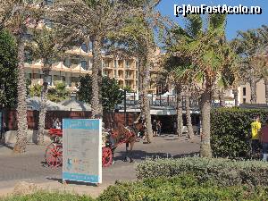 [P31] chiar si trasura avem la Ballermann, promenada de la Balneario.  » foto by claudiu 71
 - 
<span class="allrVoted glyphicon glyphicon-heart hidden" id="av568203"></span>
<a class="m-l-10 hidden" id="sv568203" onclick="voting_Foto_DelVot(,568203,17664)" role="button">șterge vot <span class="glyphicon glyphicon-remove"></span></a>
<a id="v9568203" class=" c-red"  onclick="voting_Foto_SetVot(568203)" role="button"><span class="glyphicon glyphicon-heart-empty"></span> <b>LIKE</b> = Votează poza</a> <img class="hidden"  id="f568203W9" src="/imagini/loader.gif" border="0" /><span class="AjErrMes hidden" id="e568203ErM"></span>