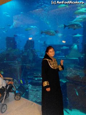 [P17] la Atlantis the Palm » foto by ct64cas
 - 
<span class="allrVoted glyphicon glyphicon-heart hidden" id="av572367"></span>
<a class="m-l-10 hidden" id="sv572367" onclick="voting_Foto_DelVot(,572367,17667)" role="button">șterge vot <span class="glyphicon glyphicon-remove"></span></a>
<a id="v9572367" class=" c-red"  onclick="voting_Foto_SetVot(572367)" role="button"><span class="glyphicon glyphicon-heart-empty"></span> <b>LIKE</b> = Votează poza</a> <img class="hidden"  id="f572367W9" src="/imagini/loader.gif" border="0" /><span class="AjErrMes hidden" id="e572367ErM"></span>