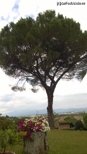 [P02] In gradina pensiunii.  » foto by ghidioneanu
 - 
<span class="allrVoted glyphicon glyphicon-heart hidden" id="av570401"></span>
<a class="m-l-10 hidden" id="sv570401" onclick="voting_Foto_DelVot(,570401,17683)" role="button">șterge vot <span class="glyphicon glyphicon-remove"></span></a>
<a id="v9570401" class=" c-red"  onclick="voting_Foto_SetVot(570401)" role="button"><span class="glyphicon glyphicon-heart-empty"></span> <b>LIKE</b> = Votează poza</a> <img class="hidden"  id="f570401W9" src="/imagini/loader.gif" border="0" /><span class="AjErrMes hidden" id="e570401ErM"></span>