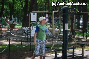 [P20] Parcul » foto by elena_iasi
 - 
<span class="allrVoted glyphicon glyphicon-heart hidden" id="av417351"></span>
<a class="m-l-10 hidden" id="sv417351" onclick="voting_Foto_DelVot(,417351,17687)" role="button">șterge vot <span class="glyphicon glyphicon-remove"></span></a>
<a id="v9417351" class=" c-red"  onclick="voting_Foto_SetVot(417351)" role="button"><span class="glyphicon glyphicon-heart-empty"></span> <b>LIKE</b> = Votează poza</a> <img class="hidden"  id="f417351W9" src="/imagini/loader.gif" border="0" /><span class="AjErrMes hidden" id="e417351ErM"></span>