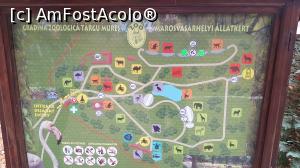 [P39] Gradina zoologica din Targu-Mures » foto by resita2009
 - 
<span class="allrVoted glyphicon glyphicon-heart hidden" id="av1332967"></span>
<a class="m-l-10 hidden" id="sv1332967" onclick="voting_Foto_DelVot(,1332967,17687)" role="button">șterge vot <span class="glyphicon glyphicon-remove"></span></a>
<a id="v91332967" class=" c-red"  onclick="voting_Foto_SetVot(1332967)" role="button"><span class="glyphicon glyphicon-heart-empty"></span> <b>LIKE</b> = Votează poza</a> <img class="hidden"  id="f1332967W9" src="/imagini/loader.gif" border="0" /><span class="AjErrMes hidden" id="e1332967ErM"></span>