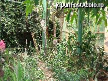 [P25] Gradina Zoologica - un spatiu verde amenajat » foto by biancuta
 - 
<span class="allrVoted glyphicon glyphicon-heart hidden" id="av67467"></span>
<a class="m-l-10 hidden" id="sv67467" onclick="voting_Foto_DelVot(,67467,17687)" role="button">șterge vot <span class="glyphicon glyphicon-remove"></span></a>
<a id="v967467" class=" c-red"  onclick="voting_Foto_SetVot(67467)" role="button"><span class="glyphicon glyphicon-heart-empty"></span> <b>LIKE</b> = Votează poza</a> <img class="hidden"  id="f67467W9" src="/imagini/loader.gif" border="0" /><span class="AjErrMes hidden" id="e67467ErM"></span>