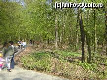 [P08] Gradina Zoologica Tg. Mures - alee prin padure » foto by biancuta
 - 
<span class="allrVoted glyphicon glyphicon-heart hidden" id="av67441"></span>
<a class="m-l-10 hidden" id="sv67441" onclick="voting_Foto_DelVot(,67441,17687)" role="button">șterge vot <span class="glyphicon glyphicon-remove"></span></a>
<a id="v967441" class=" c-red"  onclick="voting_Foto_SetVot(67441)" role="button"><span class="glyphicon glyphicon-heart-empty"></span> <b>LIKE</b> = Votează poza</a> <img class="hidden"  id="f67441W9" src="/imagini/loader.gif" border="0" /><span class="AjErrMes hidden" id="e67441ErM"></span>