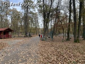 [P22] Zoo Târgu Mureș,peisaj de toamnă » foto by AZE
 - 
<span class="allrVoted glyphicon glyphicon-heart hidden" id="av1397504"></span>
<a class="m-l-10 hidden" id="sv1397504" onclick="voting_Foto_DelVot(,1397504,17687)" role="button">șterge vot <span class="glyphicon glyphicon-remove"></span></a>
<a id="v91397504" class=" c-red"  onclick="voting_Foto_SetVot(1397504)" role="button"><span class="glyphicon glyphicon-heart-empty"></span> <b>LIKE</b> = Votează poza</a> <img class="hidden"  id="f1397504W9" src="/imagini/loader.gif" border="0" /><span class="AjErrMes hidden" id="e1397504ErM"></span>
