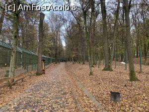 [P31] Zoo Târgu Mureș,la stânga domeniul urșilor » foto by AZE
 - 
<span class="allrVoted glyphicon glyphicon-heart hidden" id="av1397513"></span>
<a class="m-l-10 hidden" id="sv1397513" onclick="voting_Foto_DelVot(,1397513,17687)" role="button">șterge vot <span class="glyphicon glyphicon-remove"></span></a>
<a id="v91397513" class=" c-red"  onclick="voting_Foto_SetVot(1397513)" role="button"><span class="glyphicon glyphicon-heart-empty"></span> <b>LIKE</b> = Votează poza</a> <img class="hidden"  id="f1397513W9" src="/imagini/loader.gif" border="0" /><span class="AjErrMes hidden" id="e1397513ErM"></span>