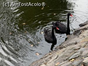 [P41] Zoo Târgu Mureș » foto by AZE
 - 
<span class="allrVoted glyphicon glyphicon-heart hidden" id="av1397523"></span>
<a class="m-l-10 hidden" id="sv1397523" onclick="voting_Foto_DelVot(,1397523,17687)" role="button">șterge vot <span class="glyphicon glyphicon-remove"></span></a>
<a id="v91397523" class=" c-red"  onclick="voting_Foto_SetVot(1397523)" role="button"><span class="glyphicon glyphicon-heart-empty"></span> <b>LIKE</b> = Votează poza</a> <img class="hidden"  id="f1397523W9" src="/imagini/loader.gif" border="0" /><span class="AjErrMes hidden" id="e1397523ErM"></span>