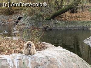 [P42] Zoo Târgu Mureș » foto by AZE
 - 
<span class="allrVoted glyphicon glyphicon-heart hidden" id="av1397524"></span>
<a class="m-l-10 hidden" id="sv1397524" onclick="voting_Foto_DelVot(,1397524,17687)" role="button">șterge vot <span class="glyphicon glyphicon-remove"></span></a>
<a id="v91397524" class=" c-red"  onclick="voting_Foto_SetVot(1397524)" role="button"><span class="glyphicon glyphicon-heart-empty"></span> <b>LIKE</b> = Votează poza</a> <img class="hidden"  id="f1397524W9" src="/imagini/loader.gif" border="0" /><span class="AjErrMes hidden" id="e1397524ErM"></span>