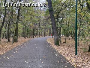 [P71] Platoul Cornești,alee » foto by AZE
 - 
<span class="allrVoted glyphicon glyphicon-heart hidden" id="av1397553"></span>
<a class="m-l-10 hidden" id="sv1397553" onclick="voting_Foto_DelVot(,1397553,17687)" role="button">șterge vot <span class="glyphicon glyphicon-remove"></span></a>
<a id="v91397553" class=" c-red"  onclick="voting_Foto_SetVot(1397553)" role="button"><span class="glyphicon glyphicon-heart-empty"></span> <b>LIKE</b> = Votează poza</a> <img class="hidden"  id="f1397553W9" src="/imagini/loader.gif" border="0" /><span class="AjErrMes hidden" id="e1397553ErM"></span>