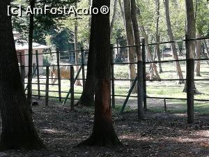 [P15] Zoo TG MURES » foto by ⭐ValentinB_88⭐
 - 
<span class="allrVoted glyphicon glyphicon-heart hidden" id="av1209506"></span>
<a class="m-l-10 hidden" id="sv1209506" onclick="voting_Foto_DelVot(,1209506,17687)" role="button">șterge vot <span class="glyphicon glyphicon-remove"></span></a>
<a id="v91209506" class=" c-red"  onclick="voting_Foto_SetVot(1209506)" role="button"><span class="glyphicon glyphicon-heart-empty"></span> <b>LIKE</b> = Votează poza</a> <img class="hidden"  id="f1209506W9" src="/imagini/loader.gif" border="0" /><span class="AjErrMes hidden" id="e1209506ErM"></span>