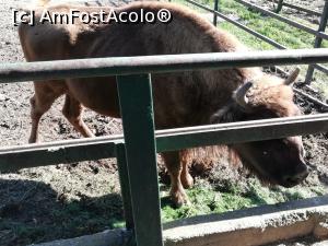 [P08] Zoo TG MURES » foto by ⭐ValentinB_88⭐
 - 
<span class="allrVoted glyphicon glyphicon-heart hidden" id="av1209499"></span>
<a class="m-l-10 hidden" id="sv1209499" onclick="voting_Foto_DelVot(,1209499,17687)" role="button">șterge vot <span class="glyphicon glyphicon-remove"></span></a>
<a id="v91209499" class=" c-red"  onclick="voting_Foto_SetVot(1209499)" role="button"><span class="glyphicon glyphicon-heart-empty"></span> <b>LIKE</b> = Votează poza</a> <img class="hidden"  id="f1209499W9" src="/imagini/loader.gif" border="0" /><span class="AjErrMes hidden" id="e1209499ErM"></span>