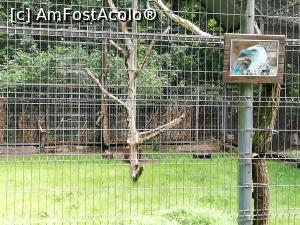 [P13] <strong>Grădina zoo Tîrgu Mureş</strong> » foto by ⭐ValentinB_88⭐
 - 
<span class="allrVoted glyphicon glyphicon-heart hidden" id="av1235239"></span>
<a class="m-l-10 hidden" id="sv1235239" onclick="voting_Foto_DelVot(,1235239,17687)" role="button">șterge vot <span class="glyphicon glyphicon-remove"></span></a>
<a id="v91235239" class=" c-red"  onclick="voting_Foto_SetVot(1235239)" role="button"><span class="glyphicon glyphicon-heart-empty"></span> <b>LIKE</b> = Votează poza</a> <img class="hidden"  id="f1235239W9" src="/imagini/loader.gif" border="0" /><span class="AjErrMes hidden" id="e1235239ErM"></span>