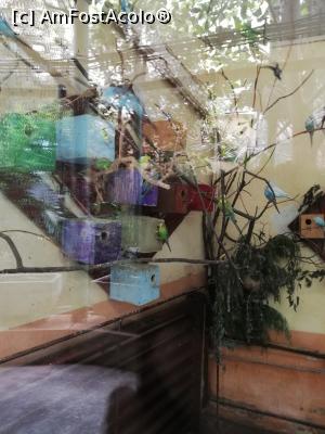 [P18] <strong>Grădina zoo Tîrgu Mureş</strong> » foto by ⭐ValentinB_88⭐
 - 
<span class="allrVoted glyphicon glyphicon-heart hidden" id="av1235244"></span>
<a class="m-l-10 hidden" id="sv1235244" onclick="voting_Foto_DelVot(,1235244,17687)" role="button">șterge vot <span class="glyphicon glyphicon-remove"></span></a>
<a id="v91235244" class=" c-red"  onclick="voting_Foto_SetVot(1235244)" role="button"><span class="glyphicon glyphicon-heart-empty"></span> <b>LIKE</b> = Votează poza</a> <img class="hidden"  id="f1235244W9" src="/imagini/loader.gif" border="0" /><span class="AjErrMes hidden" id="e1235244ErM"></span>