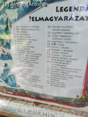 [P03] <strong>Grădina zoo Tîrgu Mureş</strong> » foto by ⭐ValentinB_88⭐
 - 
<span class="allrVoted glyphicon glyphicon-heart hidden" id="av1235229"></span>
<a class="m-l-10 hidden" id="sv1235229" onclick="voting_Foto_DelVot(,1235229,17687)" role="button">șterge vot <span class="glyphicon glyphicon-remove"></span></a>
<a id="v91235229" class=" c-red"  onclick="voting_Foto_SetVot(1235229)" role="button"><span class="glyphicon glyphicon-heart-empty"></span> <b>LIKE</b> = Votează poza</a> <img class="hidden"  id="f1235229W9" src="/imagini/loader.gif" border="0" /><span class="AjErrMes hidden" id="e1235229ErM"></span>
