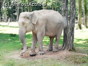[P45] <strong>Grădina zoo Tîrgu Mureş</strong> » foto by ⭐ValentinB_88⭐
 - 
<span class="allrVoted glyphicon glyphicon-heart hidden" id="av1235271"></span>
<a class="m-l-10 hidden" id="sv1235271" onclick="voting_Foto_DelVot(,1235271,17687)" role="button">șterge vot <span class="glyphicon glyphicon-remove"></span></a>
<a id="v91235271" class=" c-red"  onclick="voting_Foto_SetVot(1235271)" role="button"><span class="glyphicon glyphicon-heart-empty"></span> <b>LIKE</b> = Votează poza</a> <img class="hidden"  id="f1235271W9" src="/imagini/loader.gif" border="0" /><span class="AjErrMes hidden" id="e1235271ErM"></span>